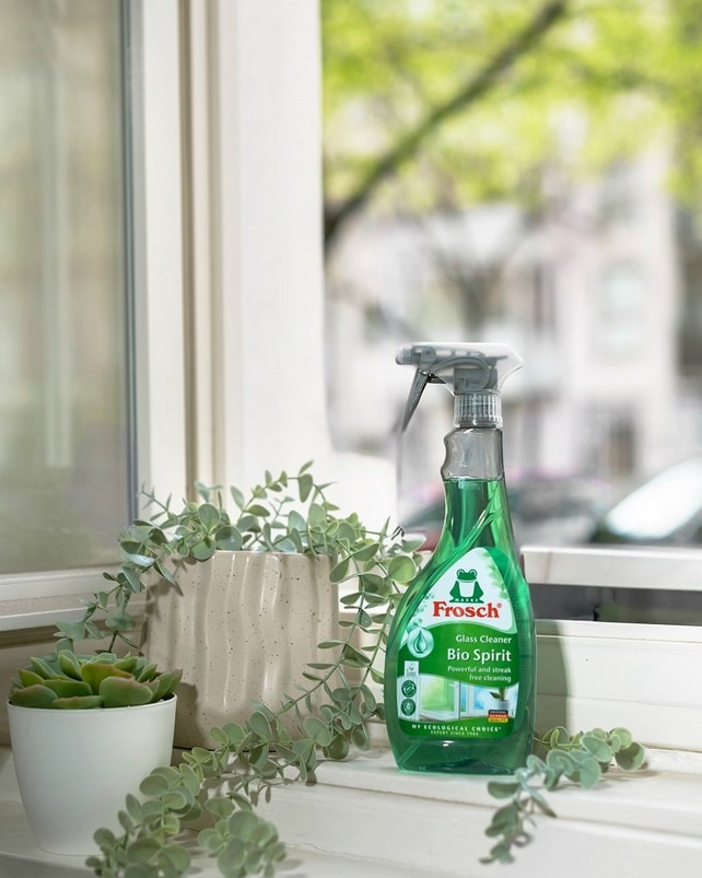 slunce, Frosch, bydlení, úklid