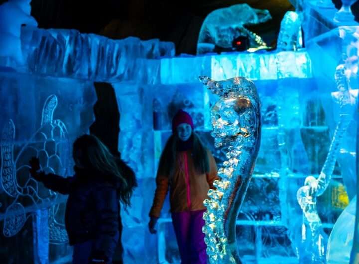 VÝSTAVA LEDOVÝCH SOCH ICE MAGIC, ICE MAGIC, výstava, kultura, děti, Praha, Marek Zelnický,