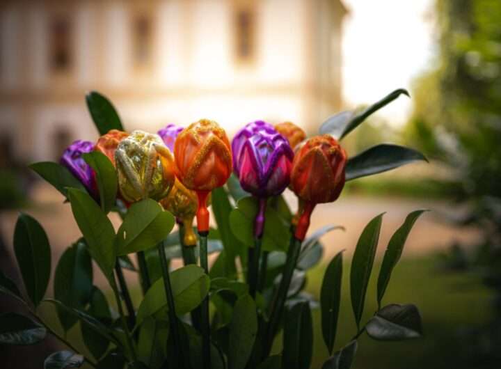 Květnomluva, Loučeň, cestování, sklárna Koulier, zámecký park, dekorace, květiny, výlet,