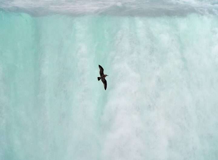 Mezinárodní den vody, Kneipp, FOREO Supercharged™ Triple Action,, životní styl