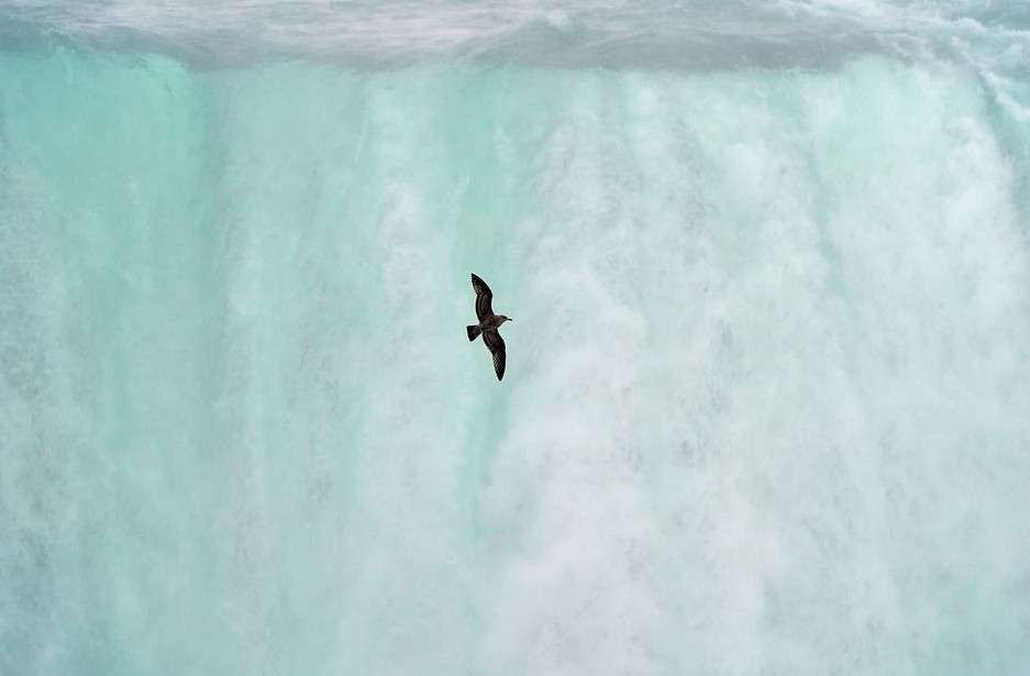 Mezinárodní den vody, Kneipp, FOREO Supercharged™ Triple Action,, životní styl