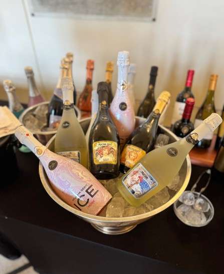 Soare, Prague Wine Trophy, Nealkoholická vína Carl Jung