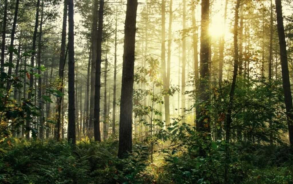 Světový den ledvin, Světový den ledvin, kouření, Léčebné kúry, Mariánské Lázně, cukrovka