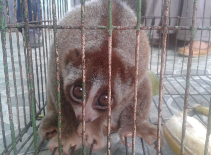 Noc práva, Zoo Ostrava,