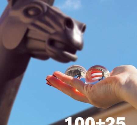 100+25 brněnských kuriozit, absurdit a bizarností, kniha, kultrura