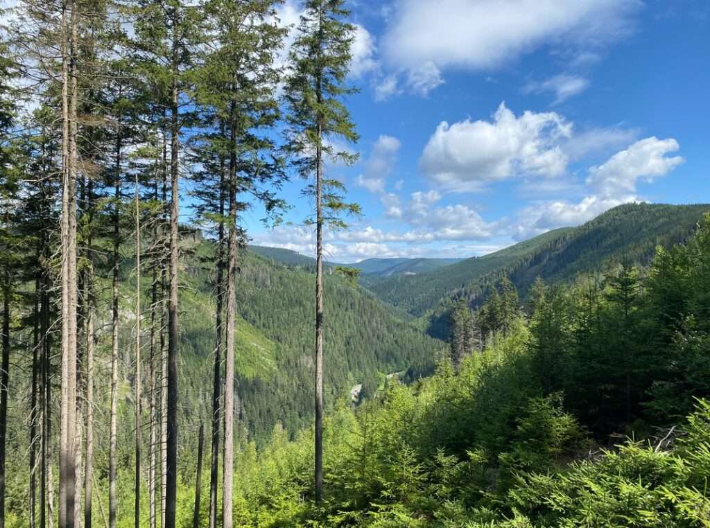 Krkonošskému národnímu parku je 62 let