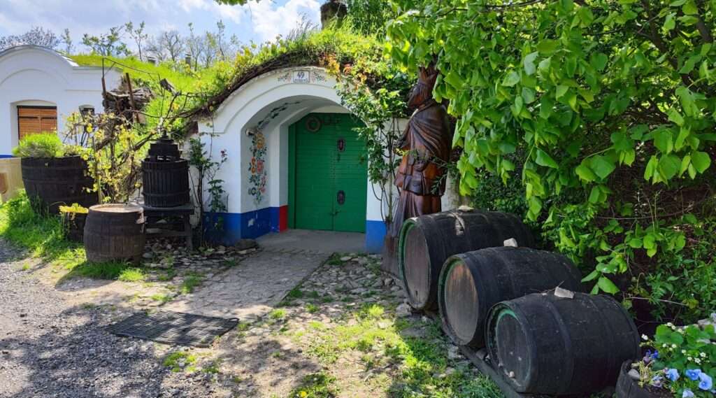 Vinné sklepy Plže, jižní Morava, víno, vinařství, cestování, Atmosféra