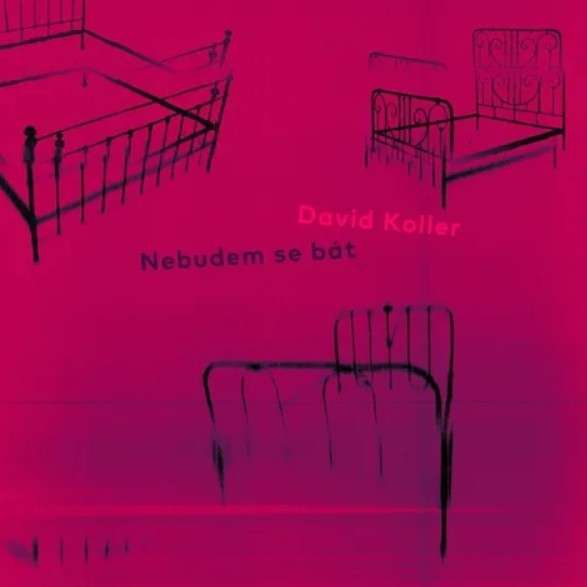 David Koller, Nebudem se bát