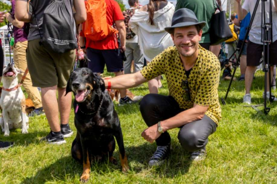 Psí den s Prahou 13, pes, domácí mazlíček,