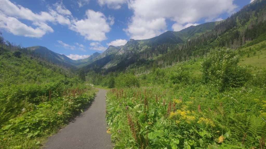 Tichá dolina, Když se řekne Slovensko a Tatry, většině lidí naskočí obrázky Lomnického štítu, Štrbského plesa, cestování, Slovensko