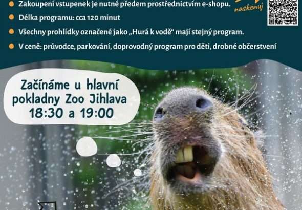 Zoo Jihlava , večerní prohlídky , cestování, léto, prázdniny