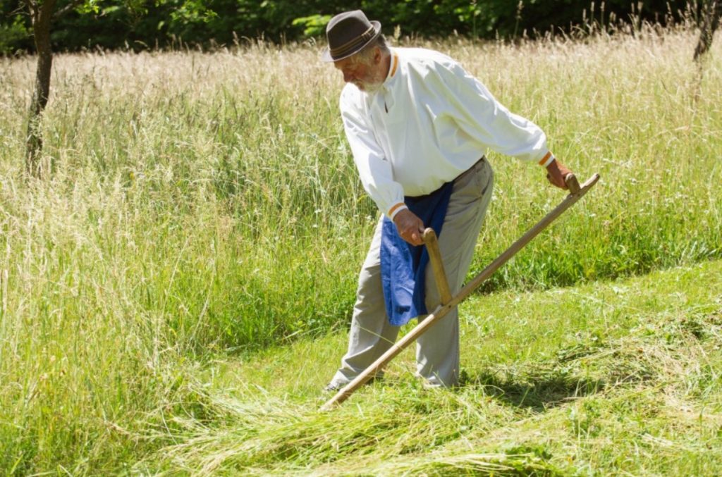 Kosení lúk, Vinařství Vyskočil