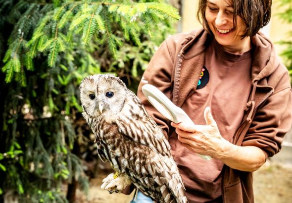 Zoo Ostrava, 7 mladých puštíků bělavých ze Zoo Ostrava