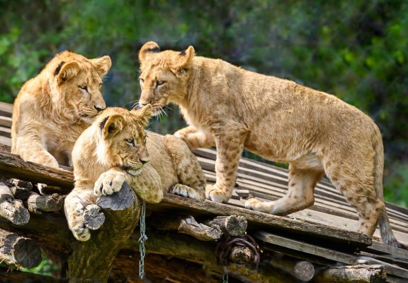 Zoo Zlín, CzechTourism, cestování,
