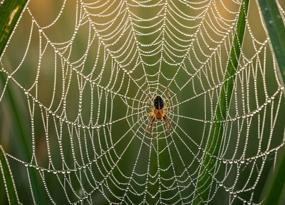 Svátek, významný den, kdo se narodil, kdo zemřel, co slavíme, co si připomínáme, 25. srpna,