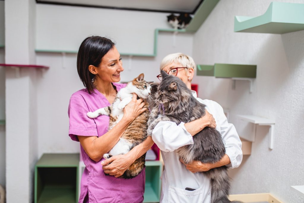 PetExpert, Nízké mzdy, vysoké nároky