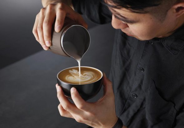 Craft Collection od Sage