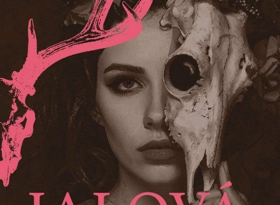 Nedostatek mateřských pudů není sobectví, Jalová, kniha, kultura, Lucie Hřebečská