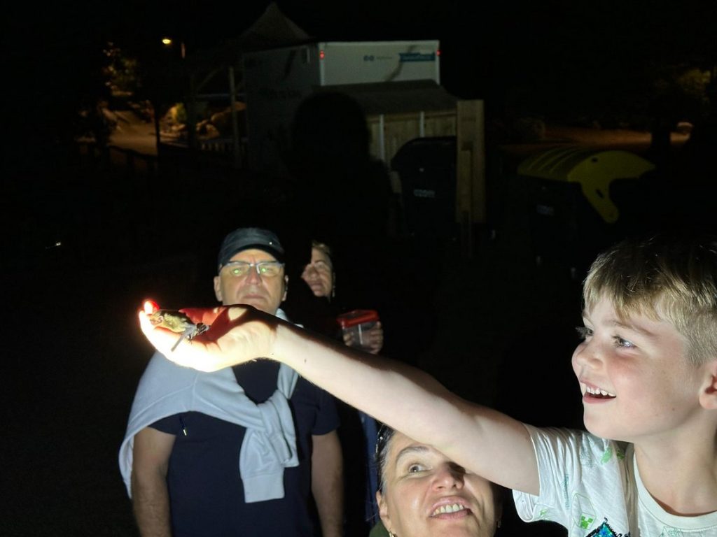 Mezinárodní noc pro netopýry 2025 , Zoo Ostrava