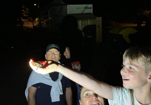 Mezinárodní noc pro netopýry 2025 , Zoo Ostrava