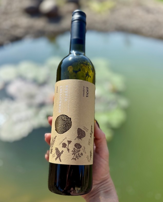 Ryzlink vlašský z Vinařství Tichý, Svatovavřinecké, Frankovka, Merlot , Zweigeltrebe