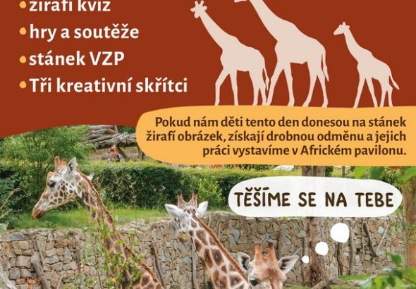 Zoo Jihlava, žirafa, konec školního roku