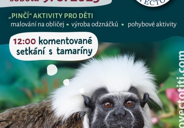 ZOO Jihlava, tamaríny, TITI DAY