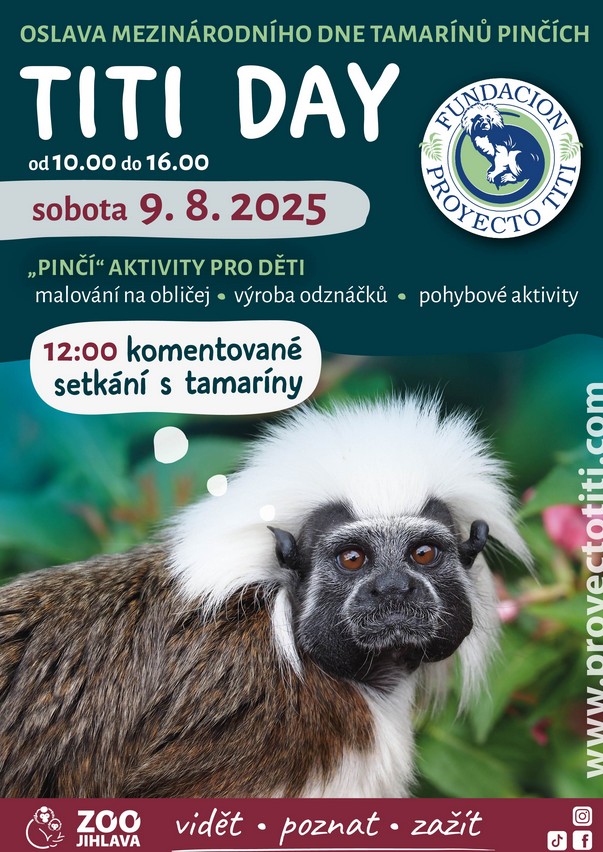 ZOO Jihlava, tamaríny, TITI DAY