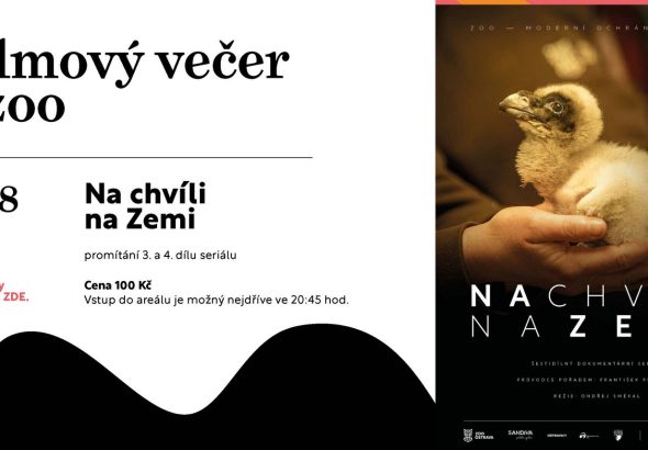 Na chvíli na Zemi, Zoo , Zoo Ostrava