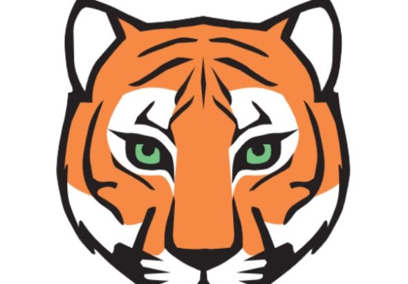 Zoo Tábor, Tragický osud lva, lev,