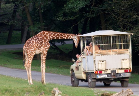 Dvůr Králový nad Labem, historie, dobrodružství,