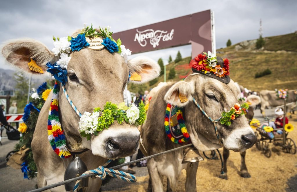 Alpenfest, Livigno, Alpy