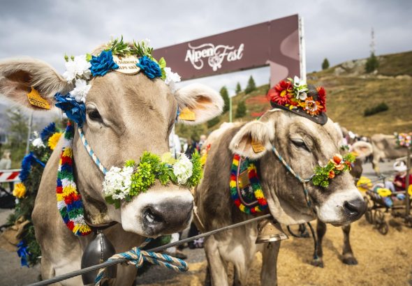 Alpenfest, Livigno, Alpy