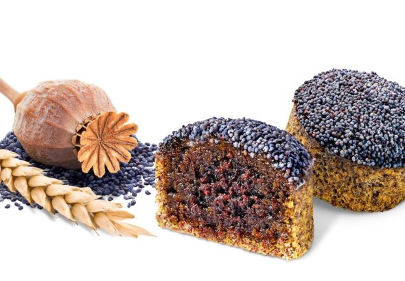 Medovník , Medovníčky