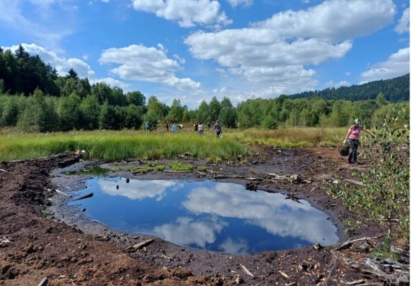 Šumava , dobrovolníci, NP Šumava, Exkurze, workshopy, živá výstava hub