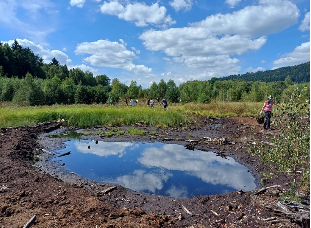 Šumava , dobrovolníci, NP Šumava, Exkurze, workshopy, živá výstava hub