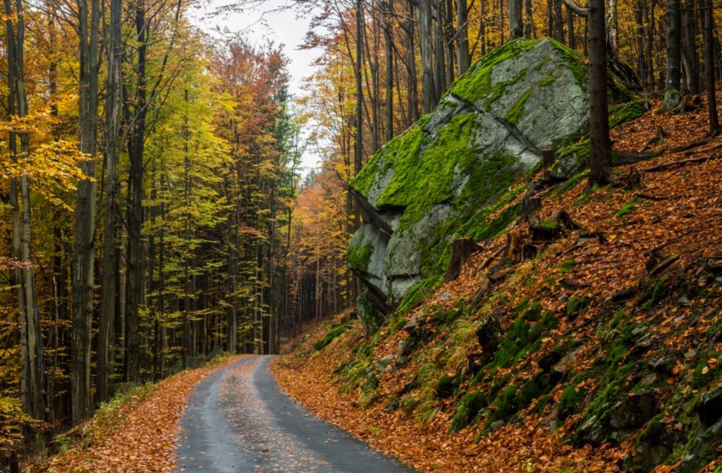 Správa Krkonošského národního parku, uzavření silnice
