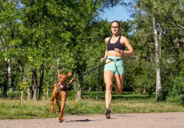 Běh se psem, super zoo, postroj, běh, Non-stop Line, vodítko Trixie,pes, domácí mazlíček