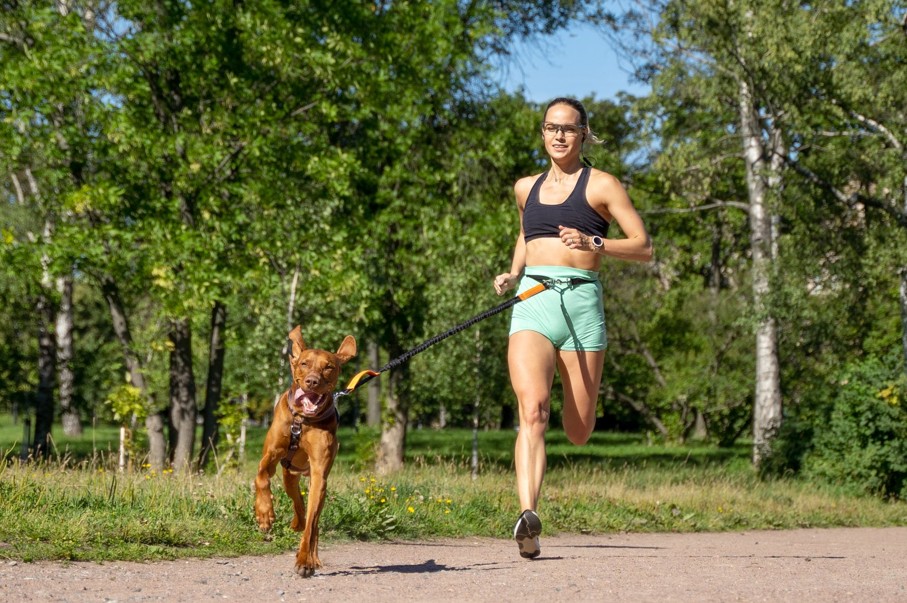Běh se psem, super zoo, postroj, běh, Non-stop Line, vodítko Trixie,pes, domácí mazlíček