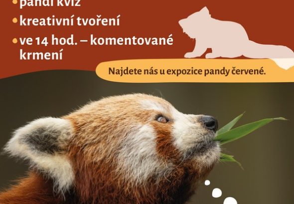Den pandy červené , Zoo, Zoo Jihlava,