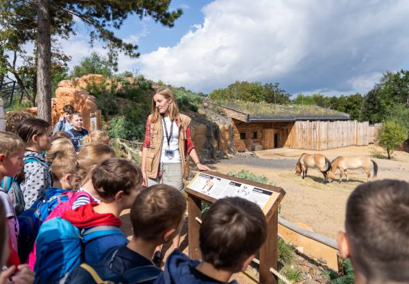 Dnes se vrací nabídka pro školy , Zoo Praha, škola, nabídka, životní styl,
