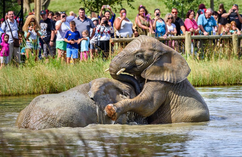 Zoo Zlín , vstupenka, 100Kč