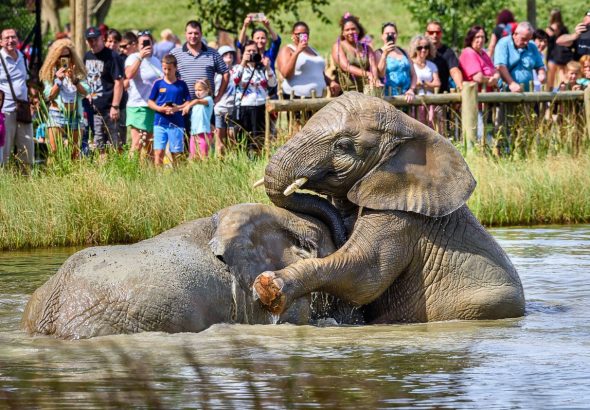 Zoo Zlín , vstupenka, 100Kč