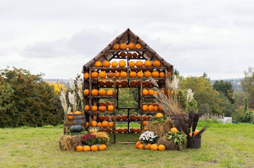 výstava dýní , Botanická zahrada, dýně