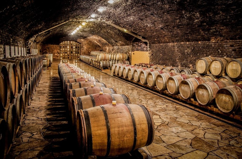 Vinařství Mikrosvín Mikulov, Novoměstská radnice, víno, vinařství