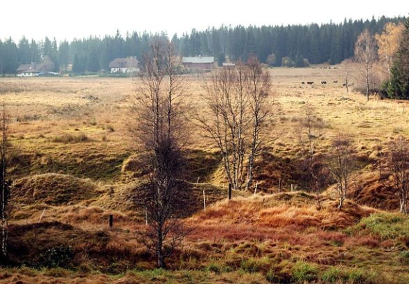 Šumava, cestování