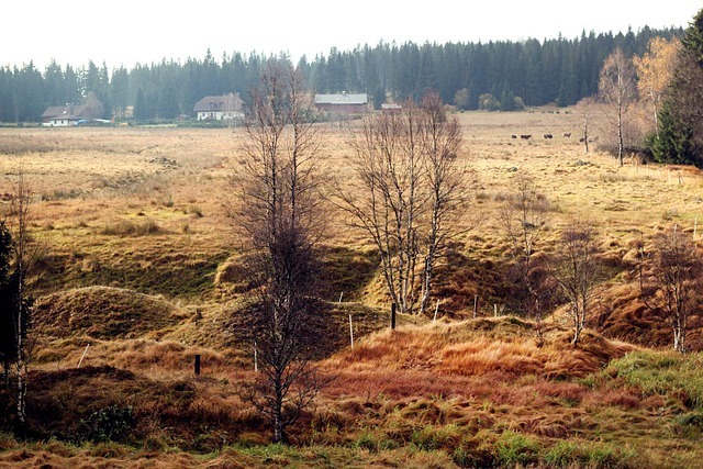 Šumava, cestování