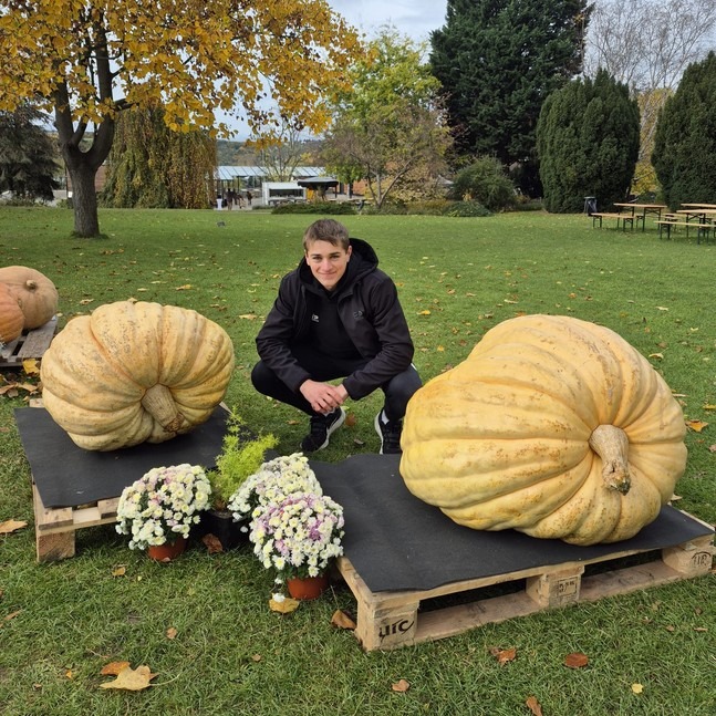 Gigantické dýně, botanická zahrada, Ornamentální zahrada