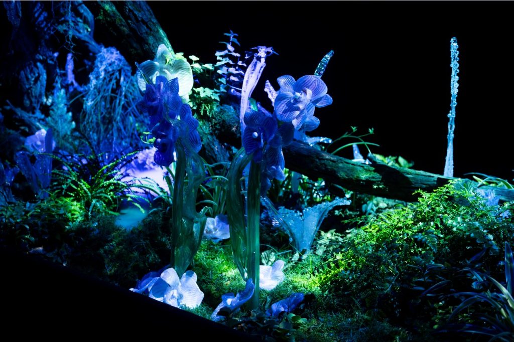 světelné projekce, Botanická zahrada, hudba, světlo, obraz, emoce, Křišťálová zahrada