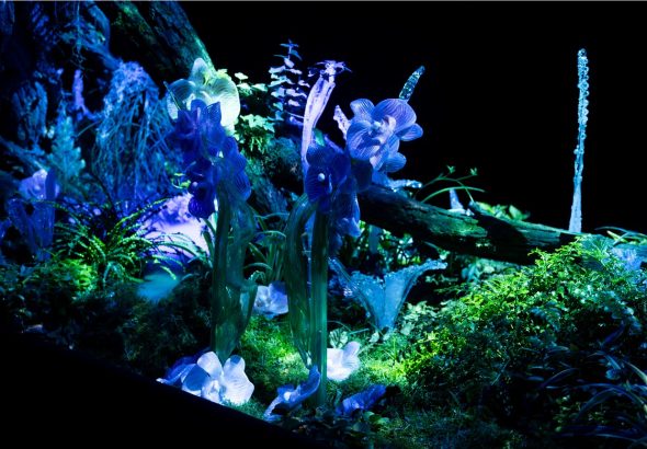 světelné projekce, Botanická zahrada, hudba, světlo, obraz, emoce, Křišťálová zahrada